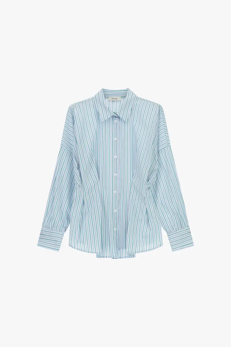 Camicia regular-fit a righe con pince frontali