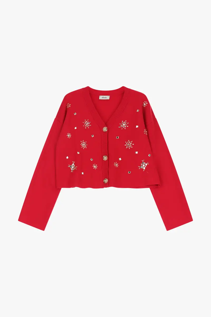 Dixie Cardigan 4153164