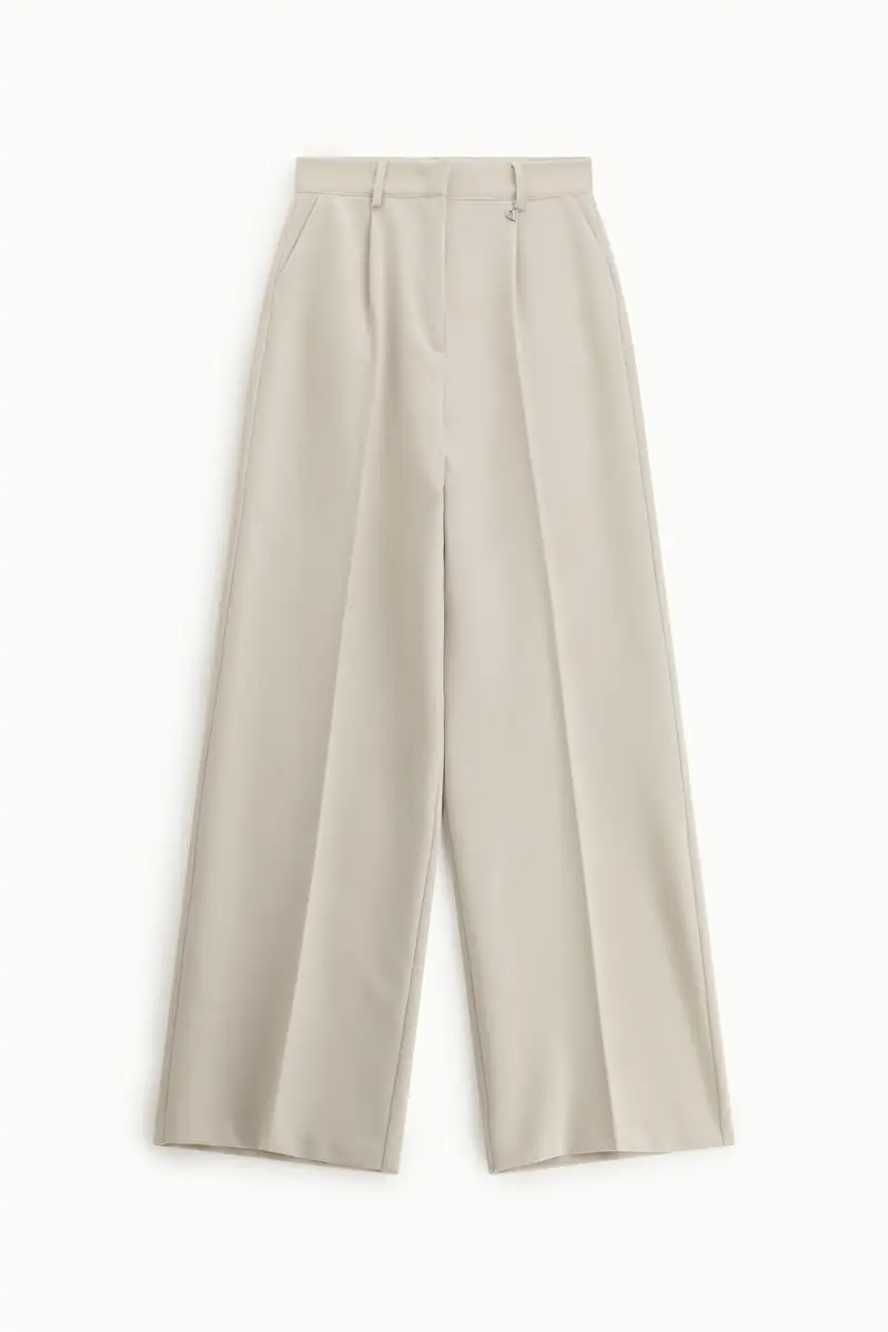 Pantaloni ampi a vita alta con pinces