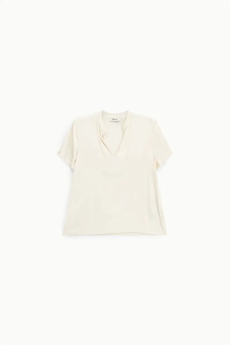 Dixie T-shirt 4224300