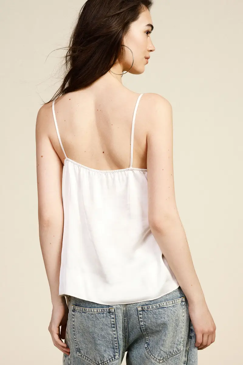 Dixie Top 4224286 miniatura 3