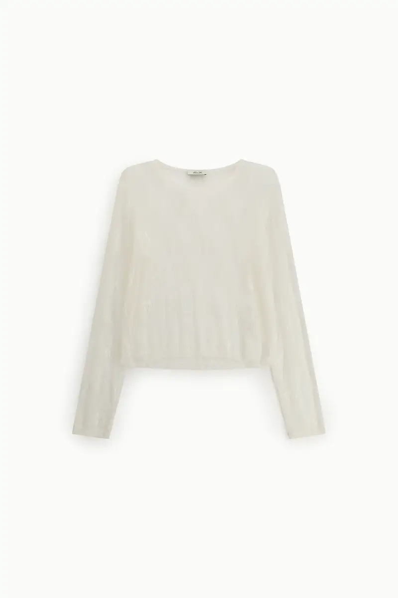 Top trasparente a maniche lunghe con ricamo floreale