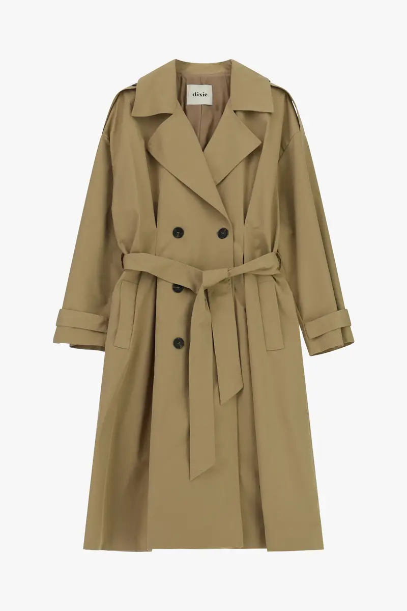 Dixie Trench 4224169