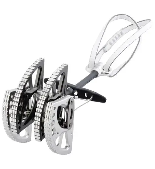 Dragon Cam - friends Grey