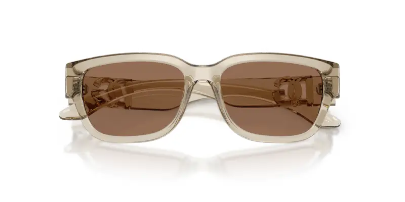 Bambino Dolce & Gabbana DX6009 329173 Occhiali da sole Iniettato Marrone Marrone Squadrata Normale miniatura 2