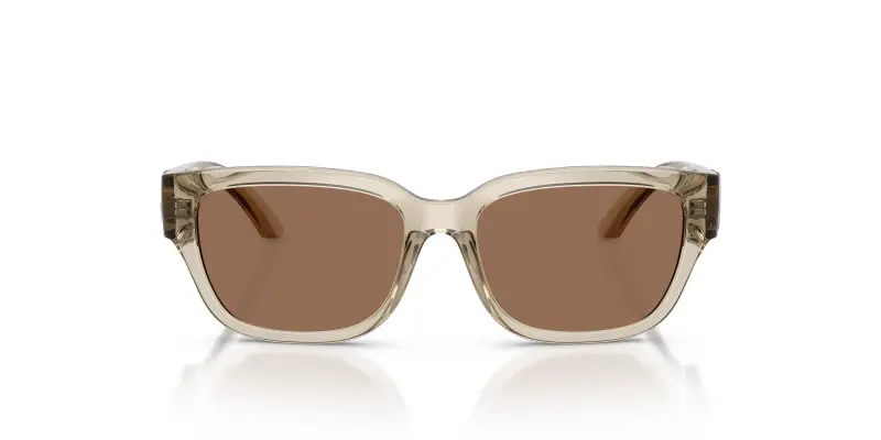 Bambino Dolce & Gabbana DX6009 329173 Occhiali da sole Iniettato Marrone Marrone Squadrata Normale miniatura 3