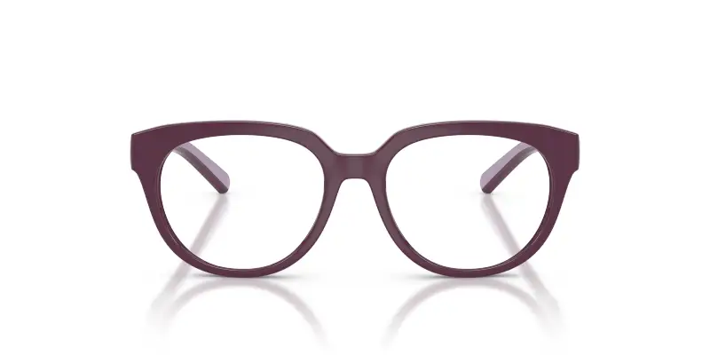 Bambino DX5007 3360 Montature da vista Iniettato Viola Trasparente Pantos Normale miniatura 3