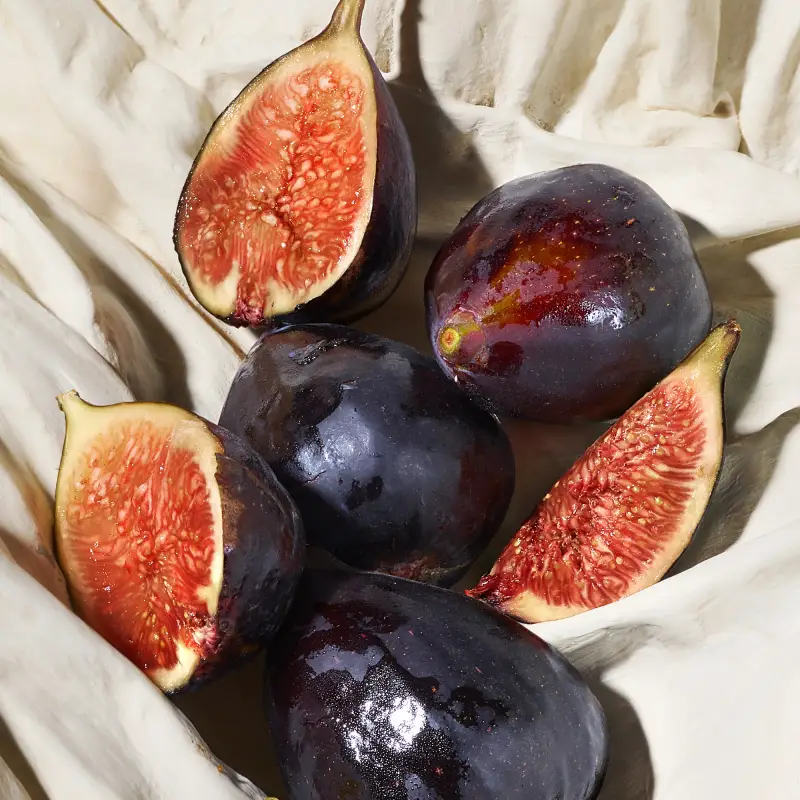 Dolce & Gabbana Eau de Parfum Donna Nero 2994559 miniatura 4