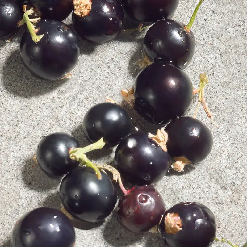 Dolce & Gabbana Eau de Toilette Donna Viola 2994561 miniatura 5