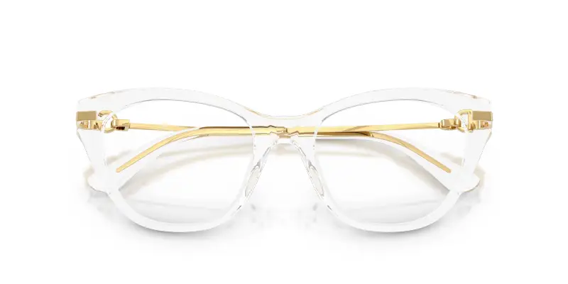 Donna DG3428 3133 Montature da vista Acetato Trasparente Trasparente Farfalla Normale miniatura 2