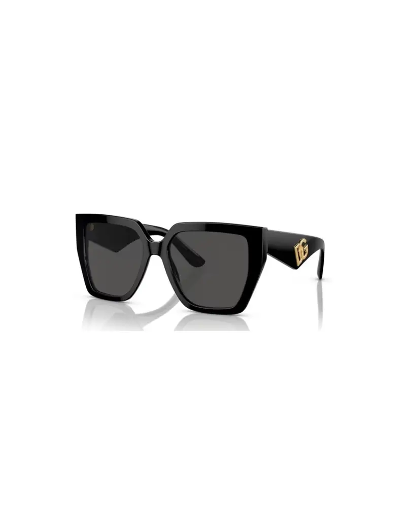 Occhiali da sole DOLCE & GABBANA D&G DG4438 501/87 Black Dark Grey 55