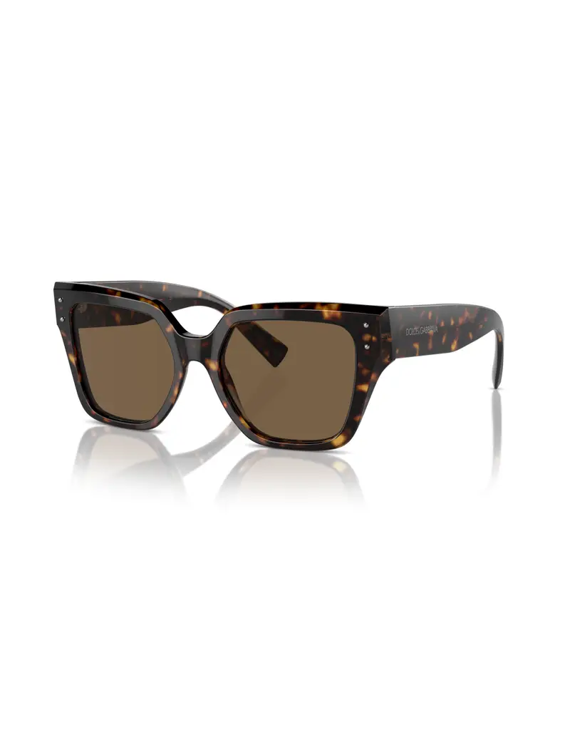 Occhiali da sole DOLCE & GABBANA D&G DG4471 502/73 Havana Dark Brown 52