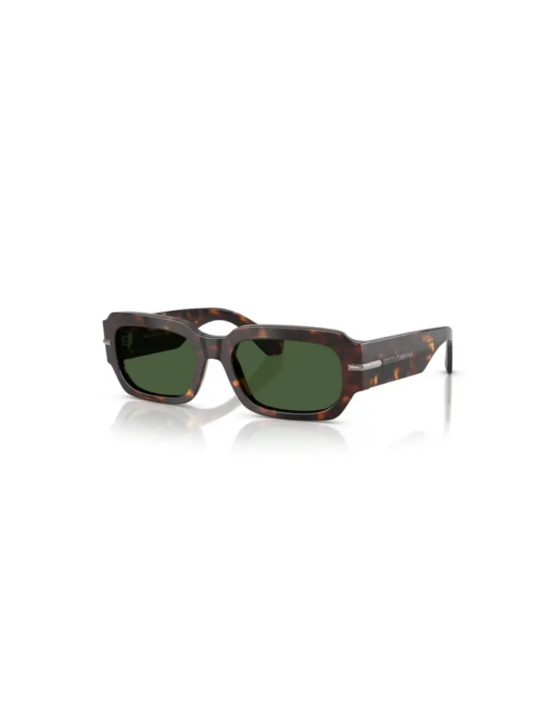 Occhiali da sole DOLCE & GABBANA DG4485 502/71 Havana/Dark Green 54