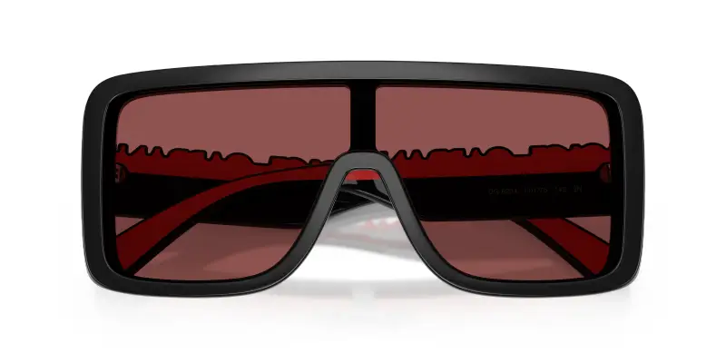 Unisex DG6204 501/75 Occhiali da sole Iniettato Nero Viola Squadrata Normale miniatura 2