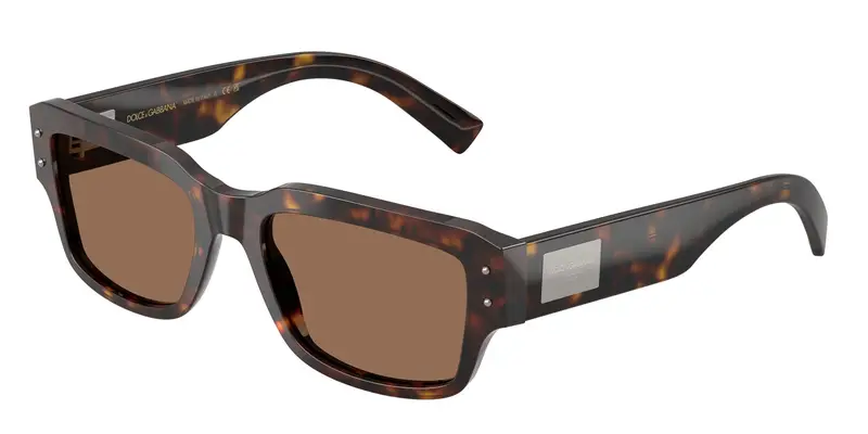 Dolce & Gabbana Occhiali da sole Uomo Testa di moro 838388