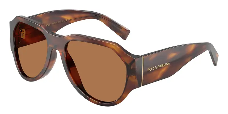 Dolce & Gabbana Occhiali da sole Uomo Testa di moro 846967