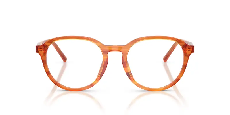 Uomo Dolce & Gabbana DG3444 3483 Montature da vista Acetato Marrone Trasparente Pantos Normale miniatura 3
