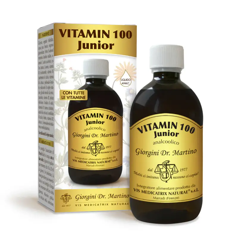 Vitamin 100 Junior Liquido Analcoolico 500 Ml
