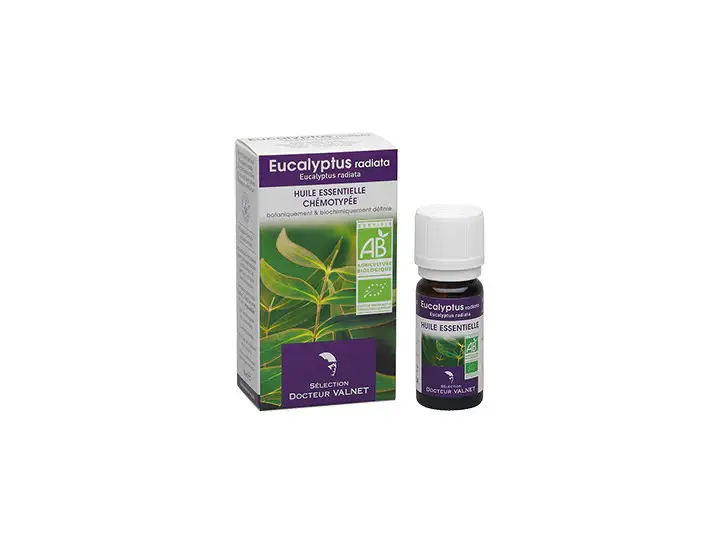 Olio Essenziale Eucalipto Radiata 10ml