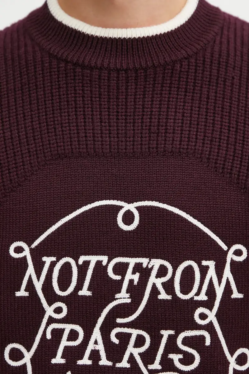 maglione in lana La Maille Slogan uomo colore violetto I.PO184.WO007 miniatura 5