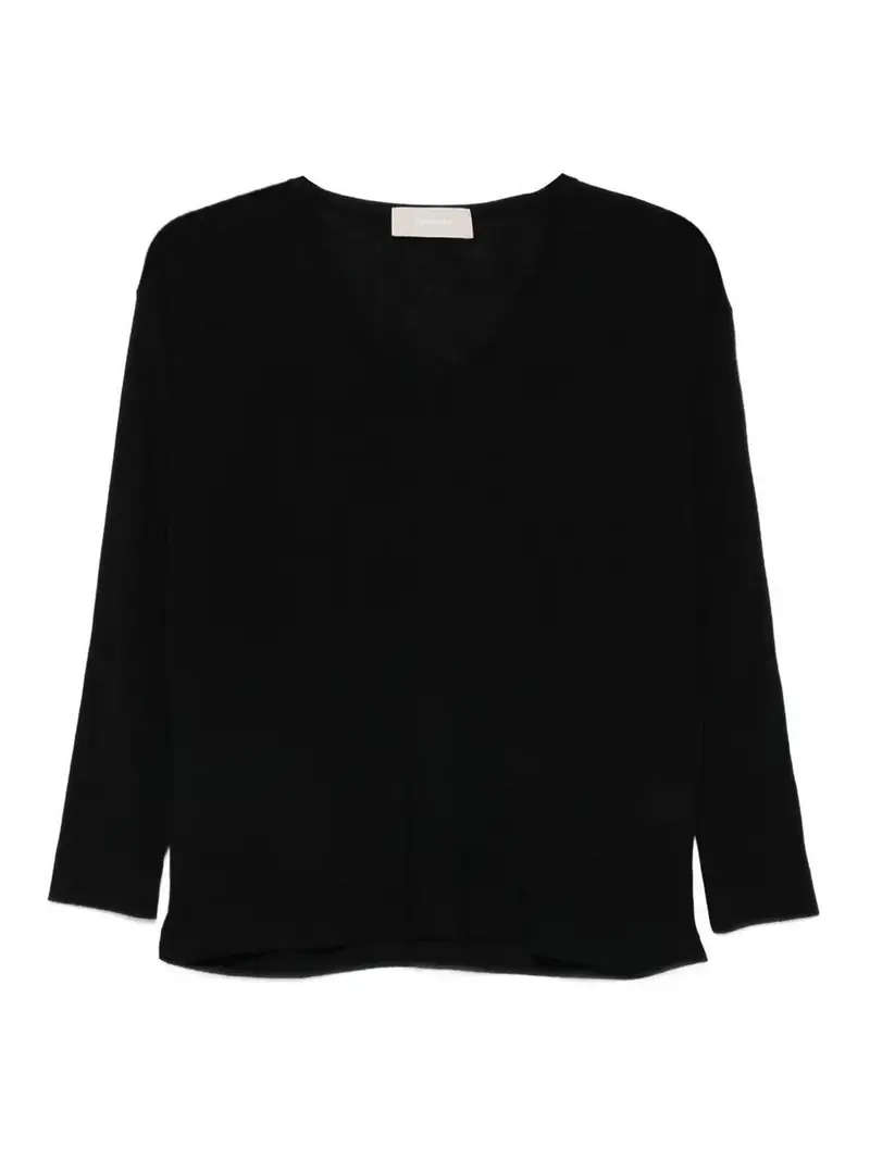 Maglione a V manica lunga Nero