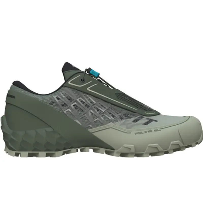 Dynafit Scarpe trail running Uomo Verde 2412323