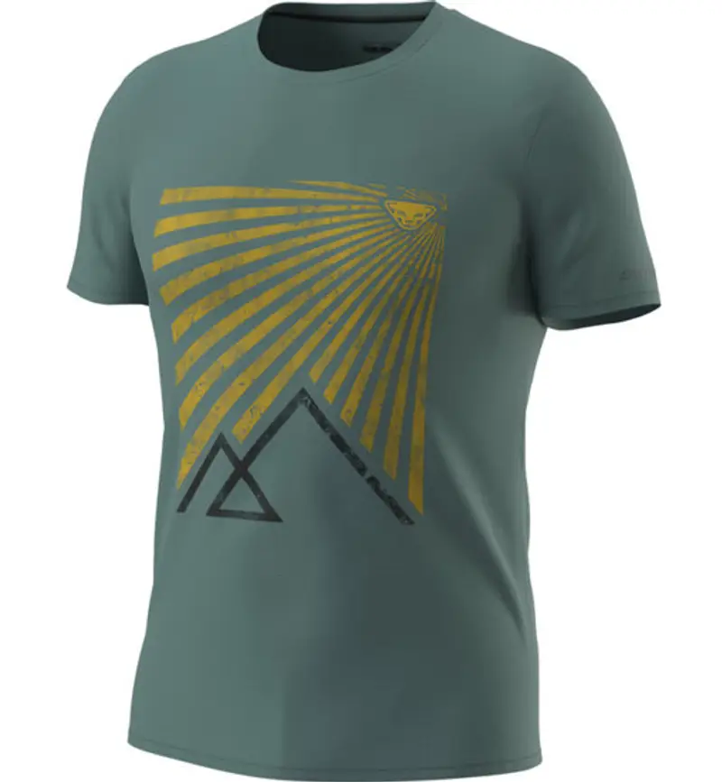 Dynafit T-shirt Uomo Verde 2413082