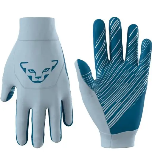 Dynafit Guanti 2483162