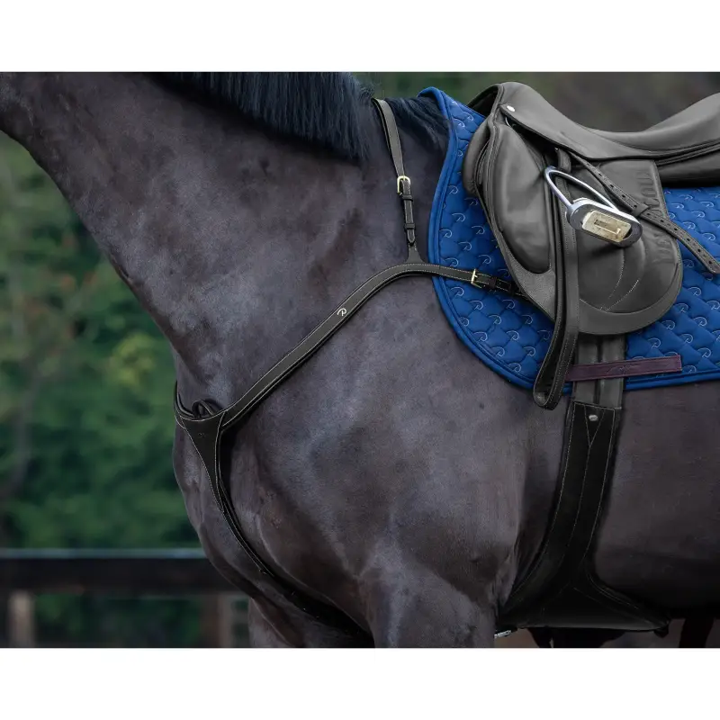 Collare da caccia a ponte lungo per cavalli Dy on