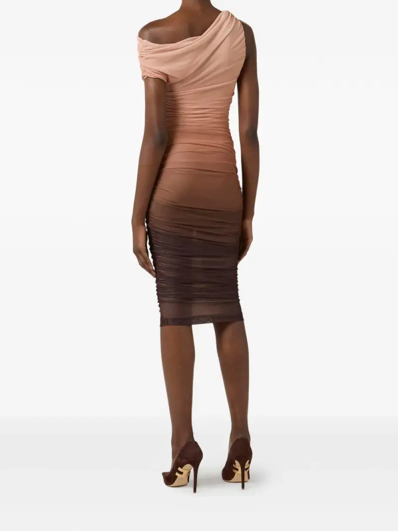 AB93162E2644 Cacao miniatura 3