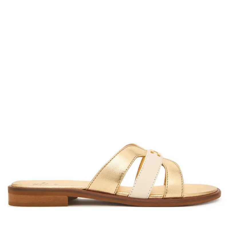 Ciabatte Elisabetta Franchi F4A2-E0558-1735 S Oro