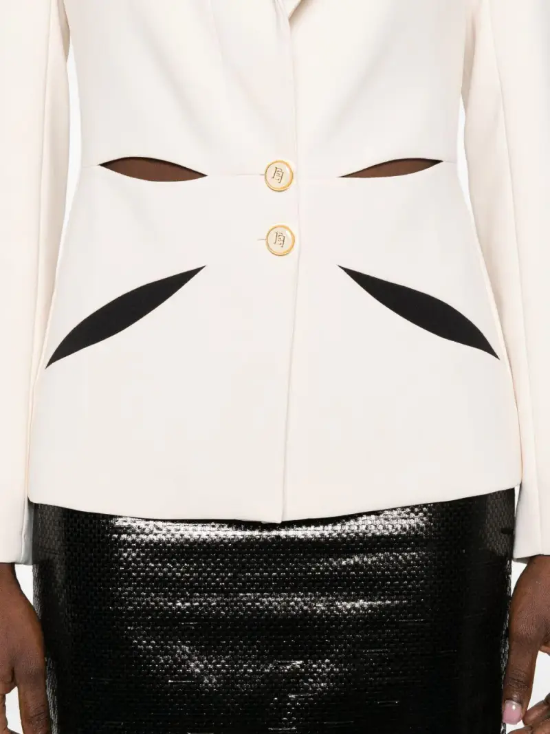 GI19861E2E84 Burro miniatura 2