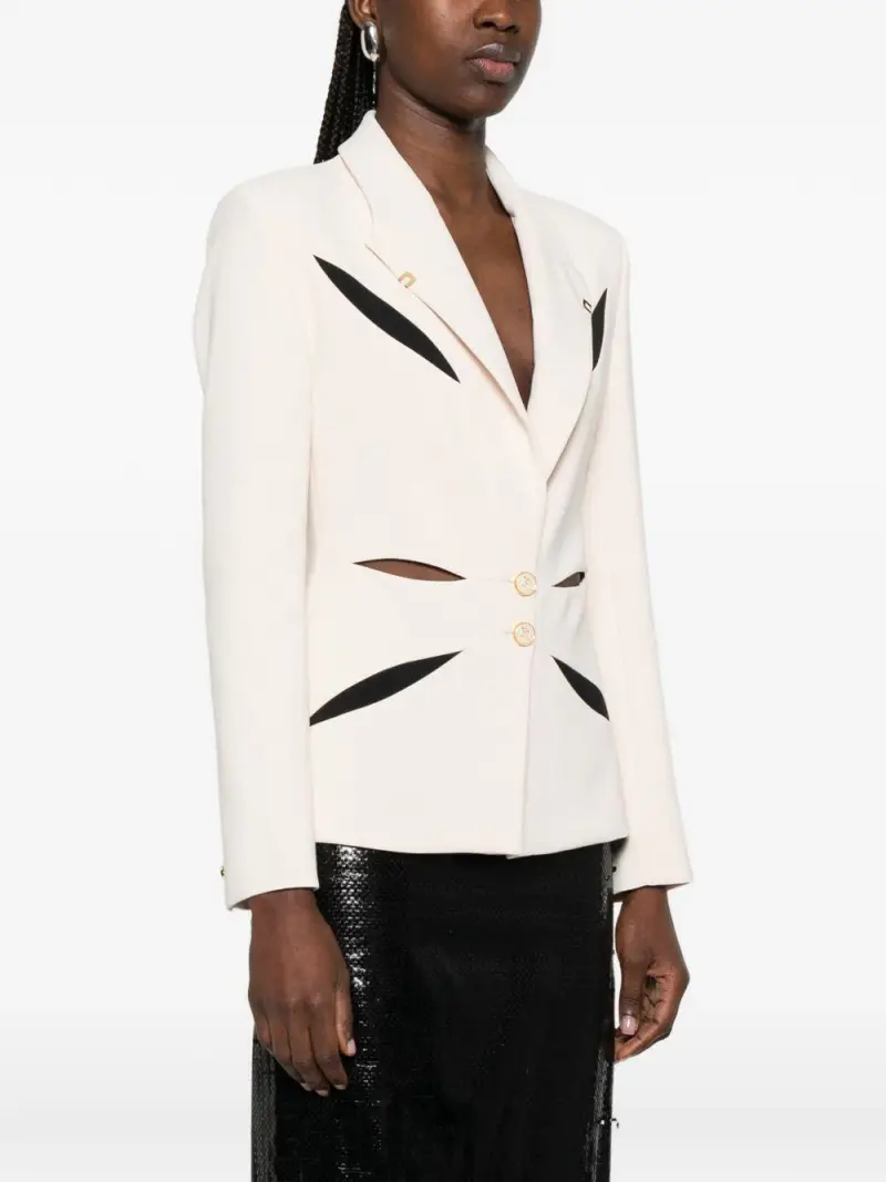 GI19861E2E84 Burro miniatura 3