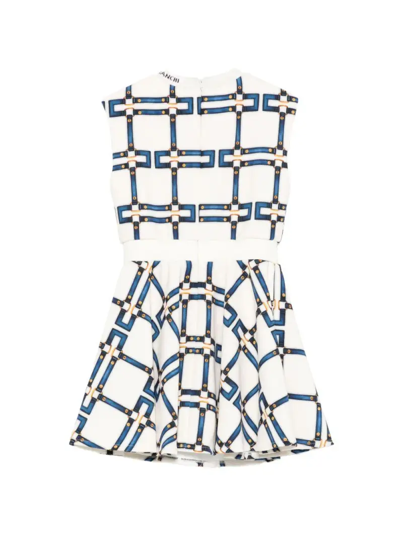 EFAB652GAE01D681 Burro miniatura 2