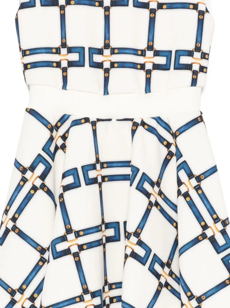 EFAB652GAE01D681 Burro miniatura 3