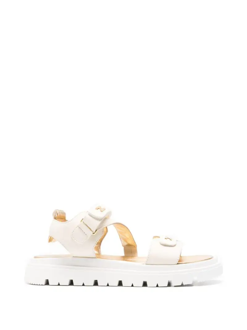 F4A2E05861733698BURRO Burro