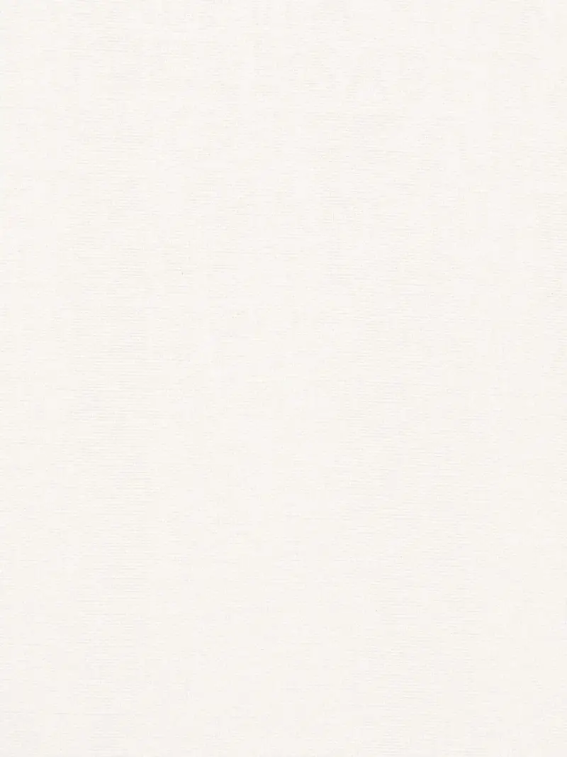 Pashmina grande in lurex jacquard bianca Avorio miniatura 2