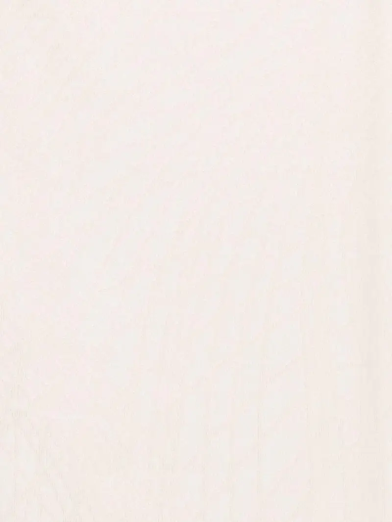 SC13F62E2193 Burro miniatura 2