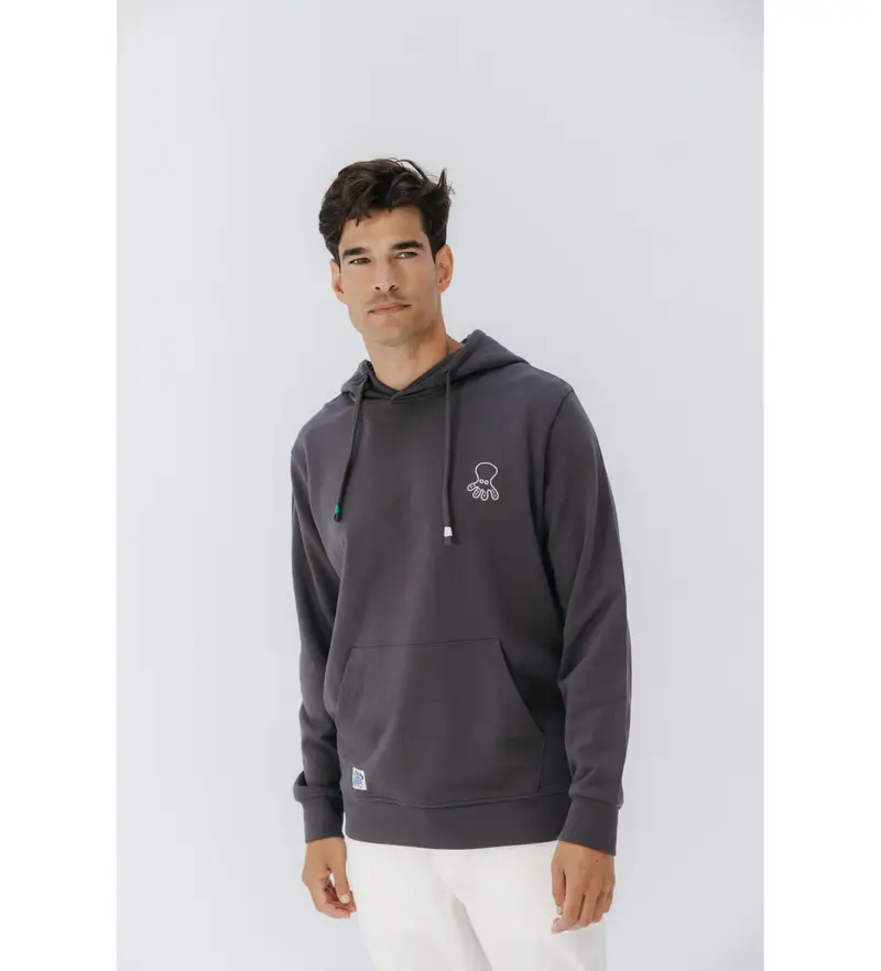 per uomo 11030228101 Felpa con cappuccio grigia Winter Poles (S), Casual, Grigio, Cotone biologico, Sostenibile