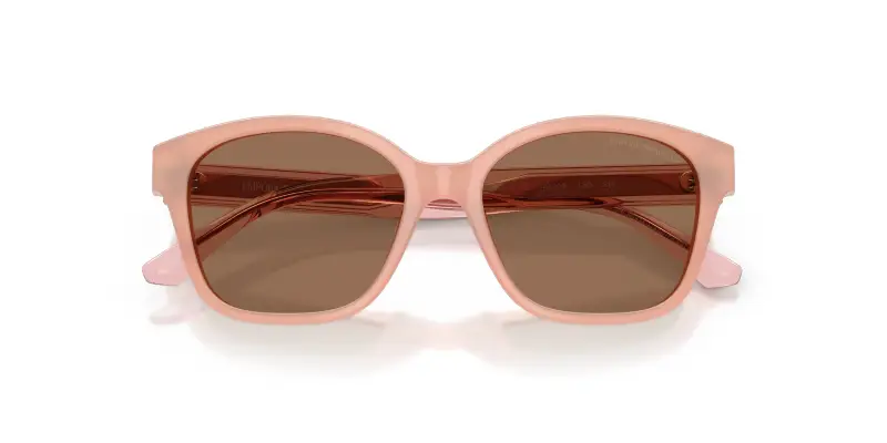 Bambino Emporio Armani EK4009U 638773 Occhiali da sole Acetato Rosa Marrone Cat Eye Normale miniatura 2