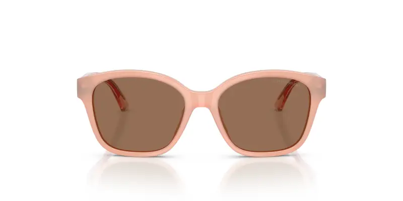 Bambino Emporio Armani EK4009U 638773 Occhiali da sole Acetato Rosa Marrone Cat Eye Normale miniatura 3