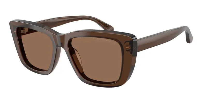 Emporio Armani Occhiali da sole Donna Marrone 846763