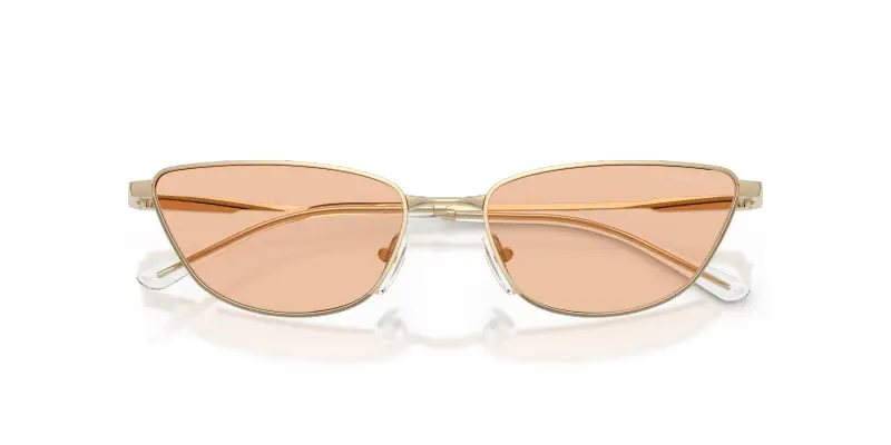 Emporio Armani Occhiali da sole Donna Marrone 4269842 miniatura 2