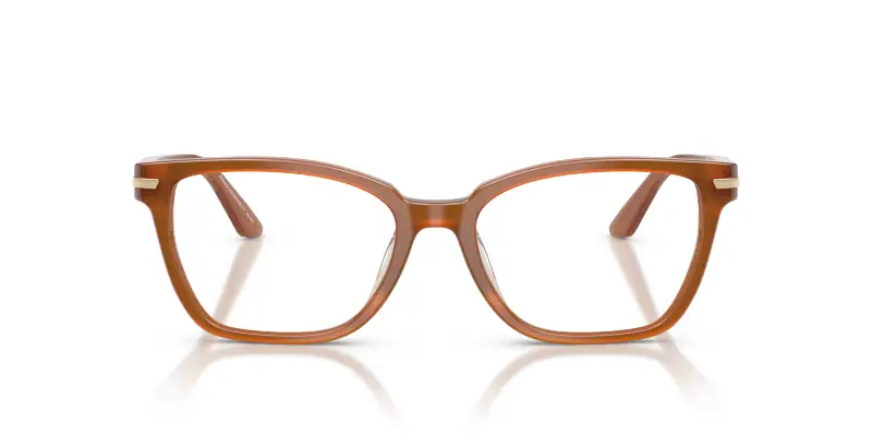 Donna Emporio Armani EA3282BU 6376 Montature da vista Acetato Marrone Trasparente Cat Eye Normale miniatura 3