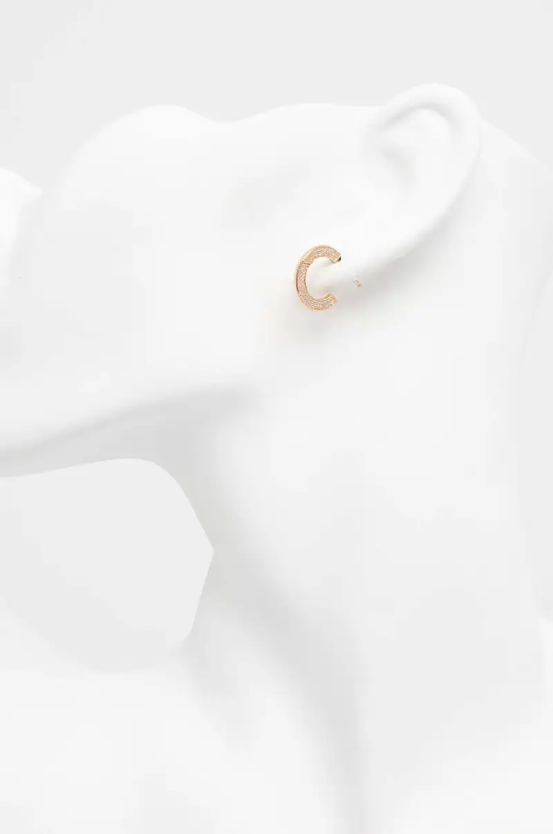 Emporio Armani Orecchini Rosa 2890598 miniatura 2