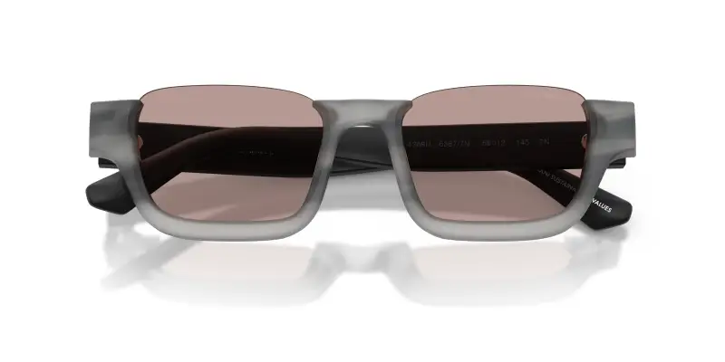 Unisex Emporio Armani EA4268U 63677N Occhiali da sole Acetato Grigio Marrone Geometrica Normale miniatura 2