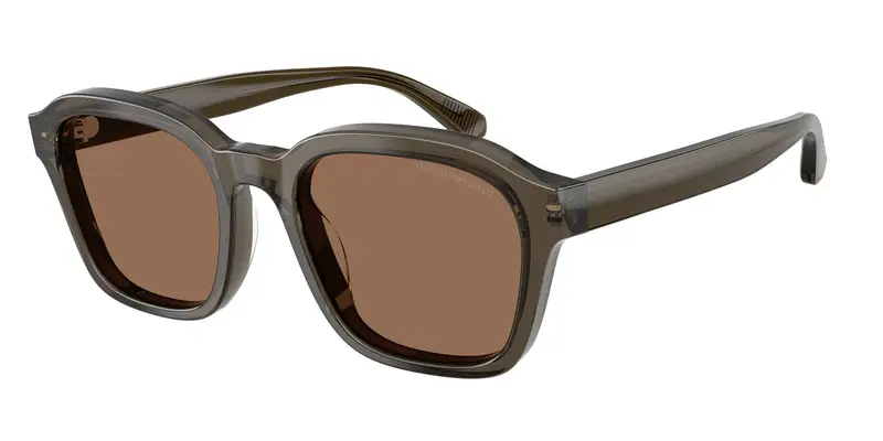 Emporio Armani Occhiali da sole Uomo Marrone 846755