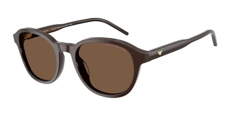 Emporio Armani Occhiali da sole Uomo Marrone 847660