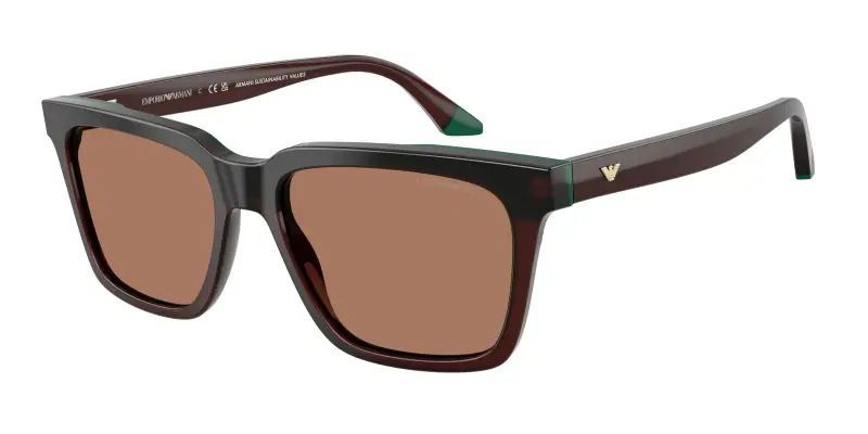 Emporio Armani Occhiali da sole Uomo Marrone 2722924