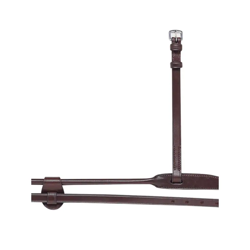 Postazione in rete per l equitazione Equiline